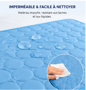 Tapis Rafraîchissant pour Chien et Chat